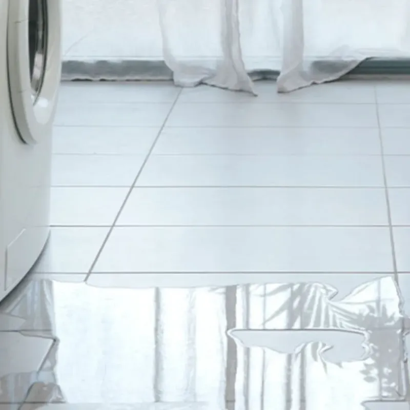 Appliance Leak Cleanup in Bucyrus, OH
