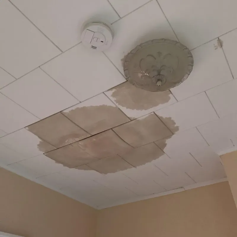 Ceiling Water Damage Repair in Bucyrus, OH