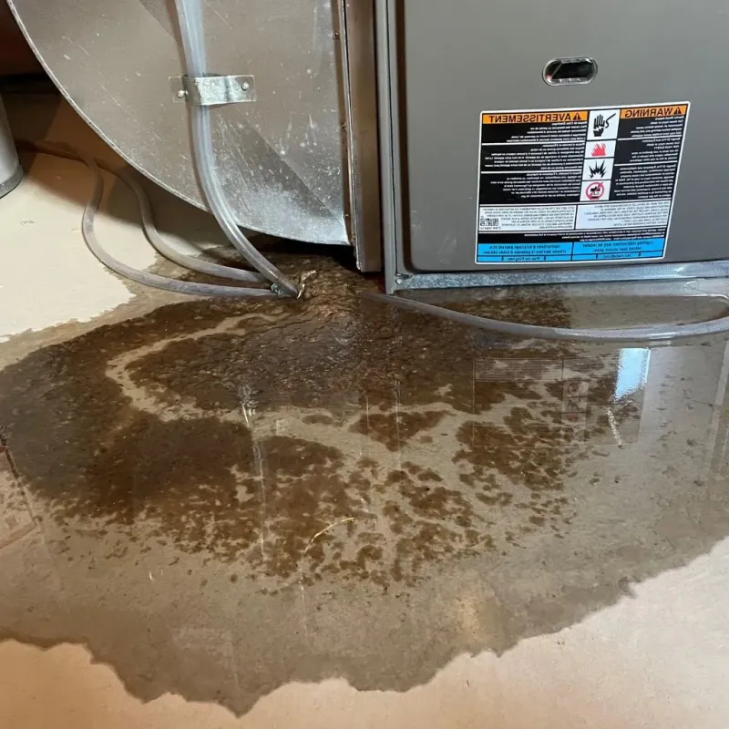 Pipe Burst and Leak Restoration in Bucyrus, OH