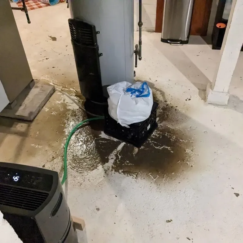 Sewage Backup Cleanup Service in Bucyrus, OH